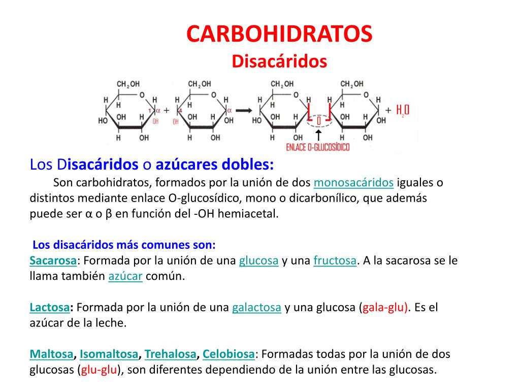 Carbohidratos lista