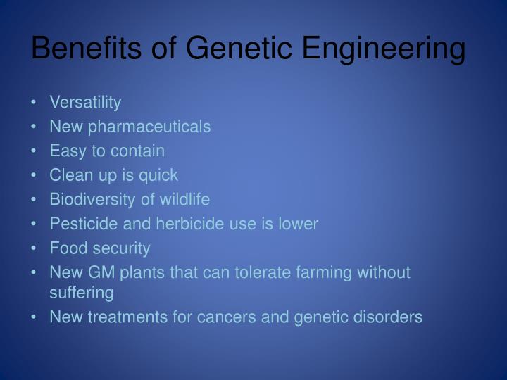 Essay On Spring Allergies Essay On Spring Allergies