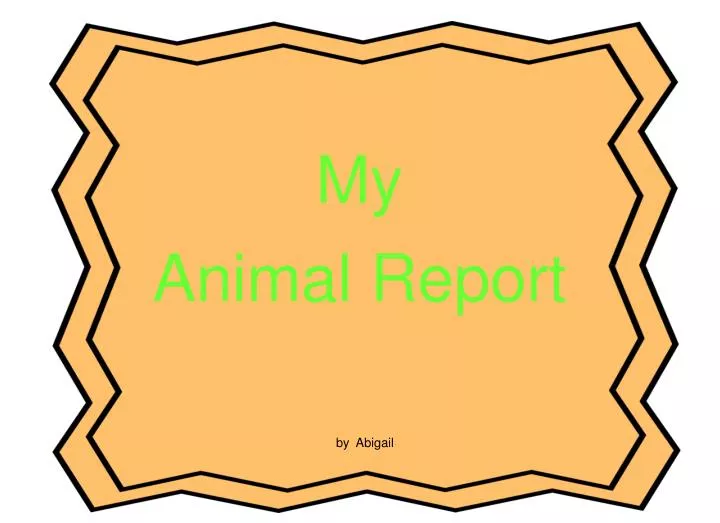my animal report n.