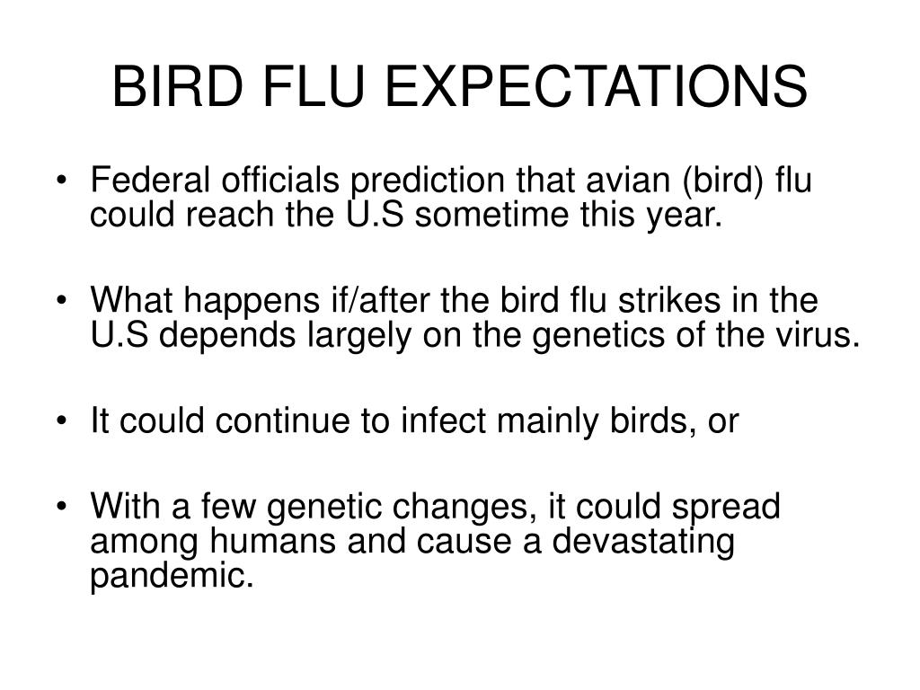 PPT BIRD FLU PANDEMIC PowerPoint Presentation, free download ID4875501