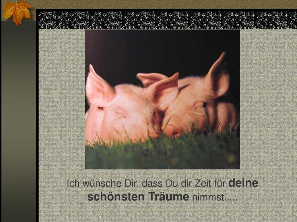 Wie Gebe Ich Einen Netten Korb