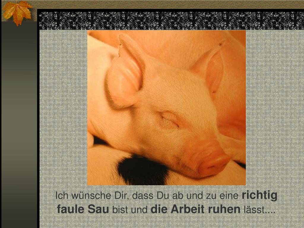 Wie Gebe Ich Einen Netten Korb