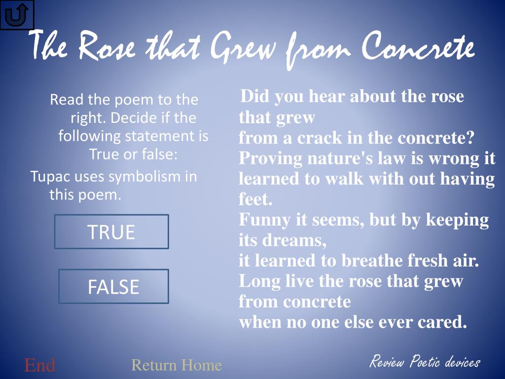 the rose that grew from concrete type of poem the rose that grew from concrete type of poem