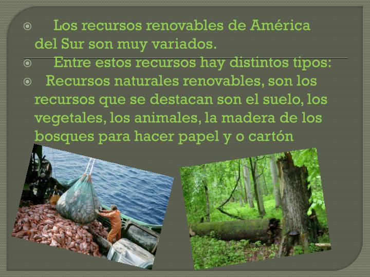 PPT - Recursos naturales de América del Sur PowerPoint Presentation
