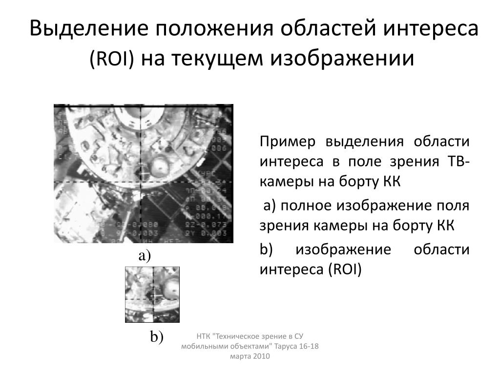 Выделите положение. Поля текущее поле область выделения.