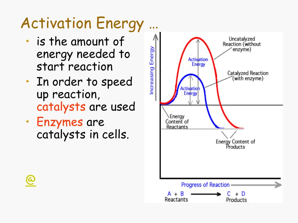 PPT - Activation Energy … PowerPoint Presentation, free ...