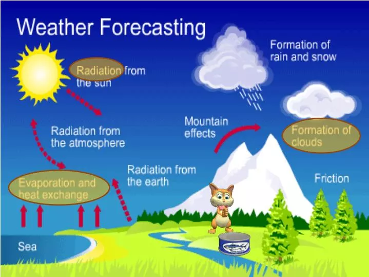 make an essay on the importance of meteorology