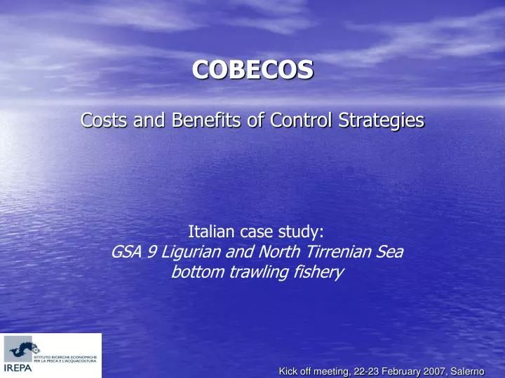 cobecos costs and benefits of control strategies n.