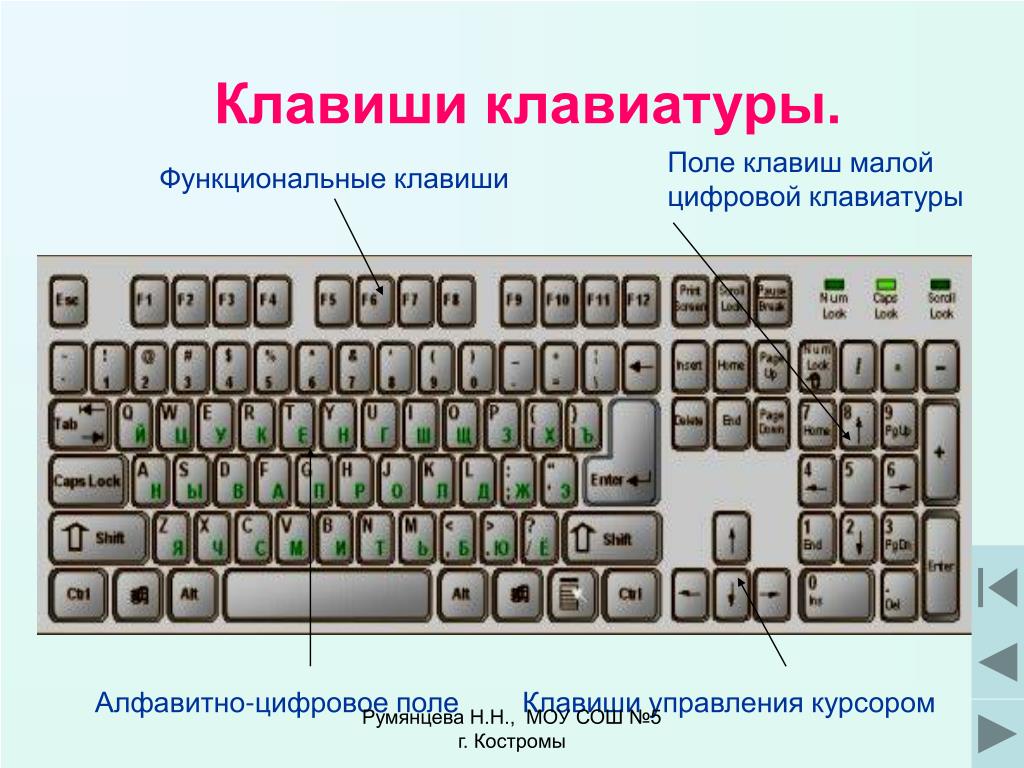 Раскладка клавиатуры установить. Клавиши на клавиатуре. Клавиатура кнопки. Расположение кнопок на клавиатуре компьютера. Части компьютера клавиатура.