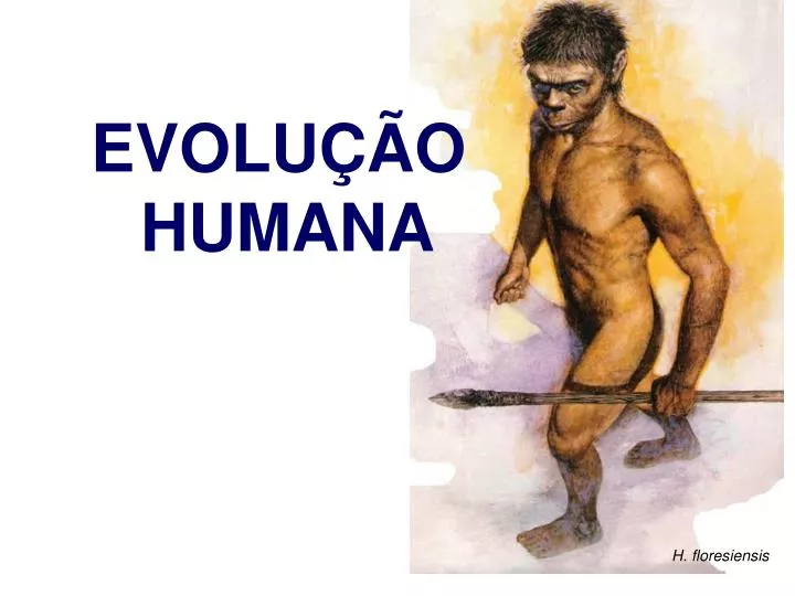 PPT EVOLUÇÃO HUMANA PowerPoint Presentation free download ID