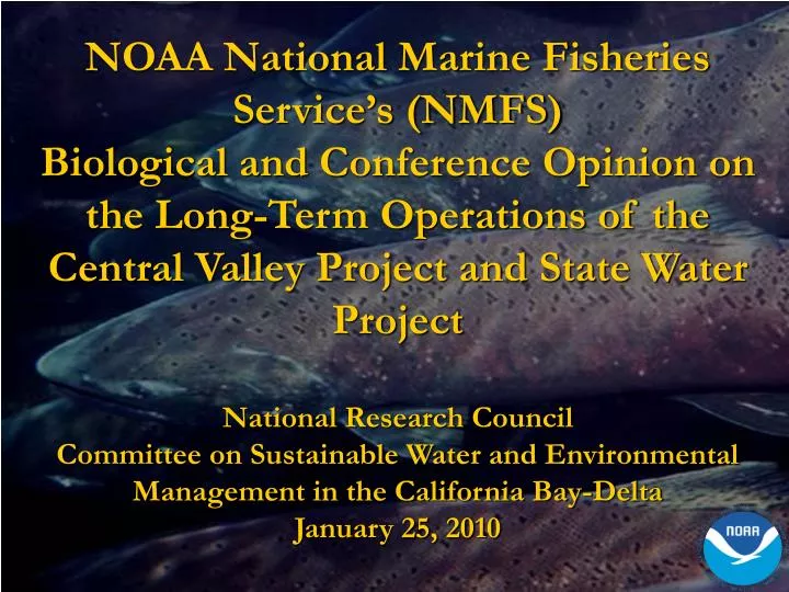 PPT - NOAA National Marine Fisheries Service’s (NMFS) PowerPoint ...