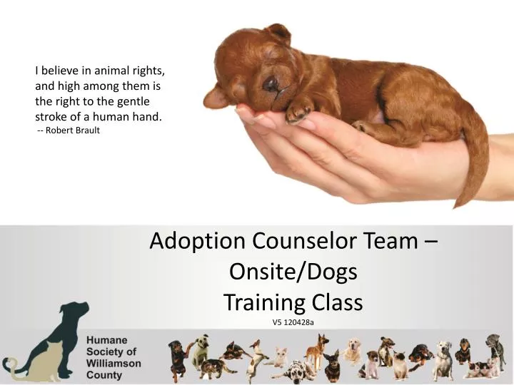 adoption counselor rome fontanacountryinn com adoption counselor