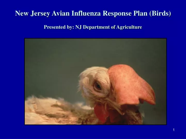 PPT New Jersey Avian Influenza Response Plan (Birds) Presented by NJ