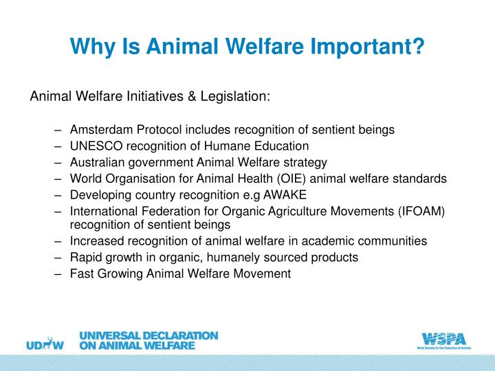 PPT Universal Declaration On Animal Welfare PowerPoint Presentation