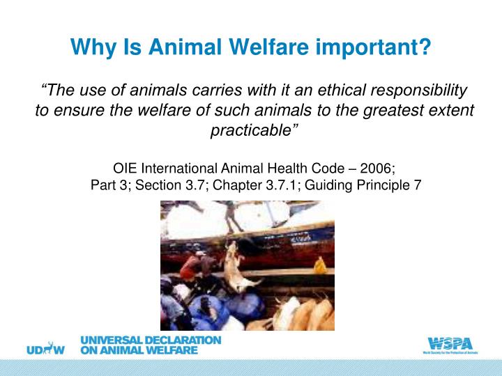 ppt-universal-declaration-on-animal-welfare-powerpoint-presentation