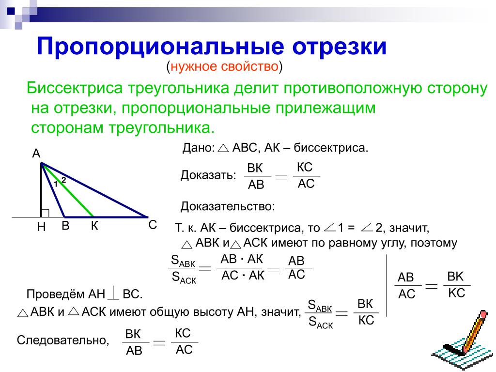 Любая биссектриса треугольника делит его пополам. Биссектриса. Биссектриса треугольника делит противоположную. Пропорциональные отрезки. Подобие треугольников пропорциональные отрезки.