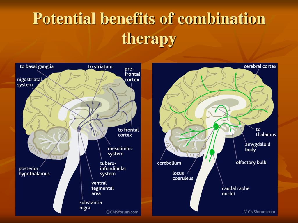 PPT - ADHD Update 2012: Paying Attention To Inattention PowerPoint ...