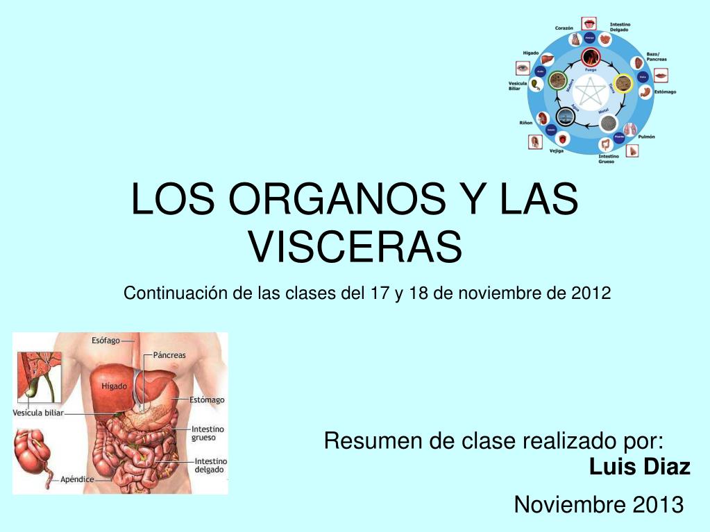 muerte El propietario Pickering PPT - LOS ORGANOS Y LAS VISCERAS PowerPoint Presentation, free download -  ID:4891669