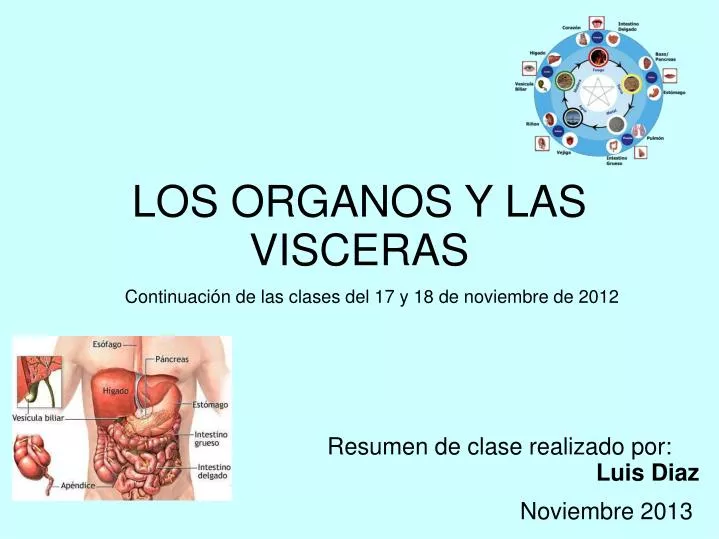 Visceras