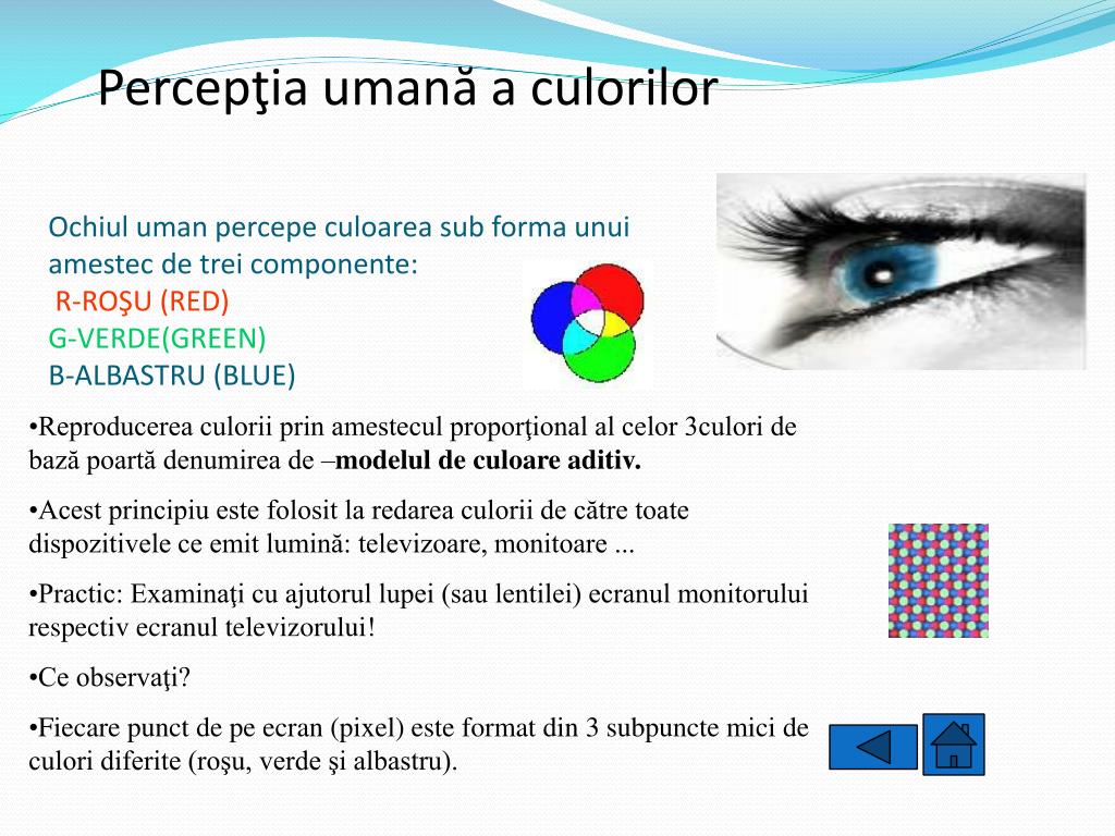 Ppt Culoarea In Poligrafie Powerpoint Presentation Free