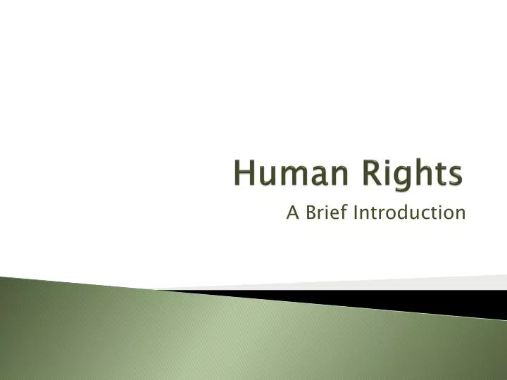 human rights n.