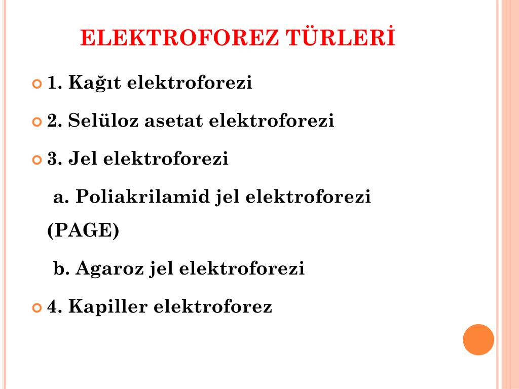 PPT - ELEKTROFOREZ PowerPoint Presentation, free download - ID:4900284