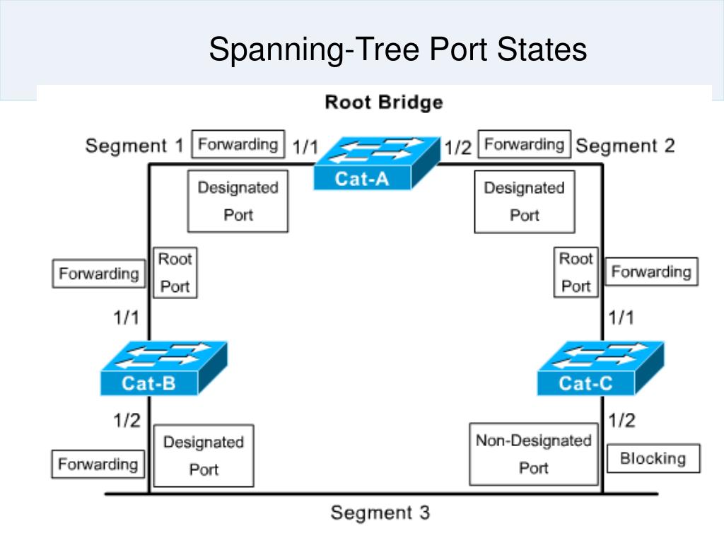 Span сети. Spanning Tree. RSTP протокол. STP Port States. Spanning Tree Protocol.