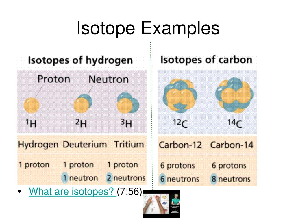 PPT Honors Biology Chapter 2 PowerPoint Presentation, free download ID4901097