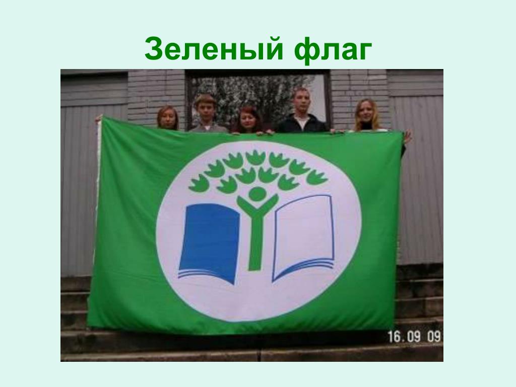 Зеленый флаг в россии. Стенд экошкола зеленый флаг. Зеленый флаг. Зелёный флаг эко школа. Флаг экологов.