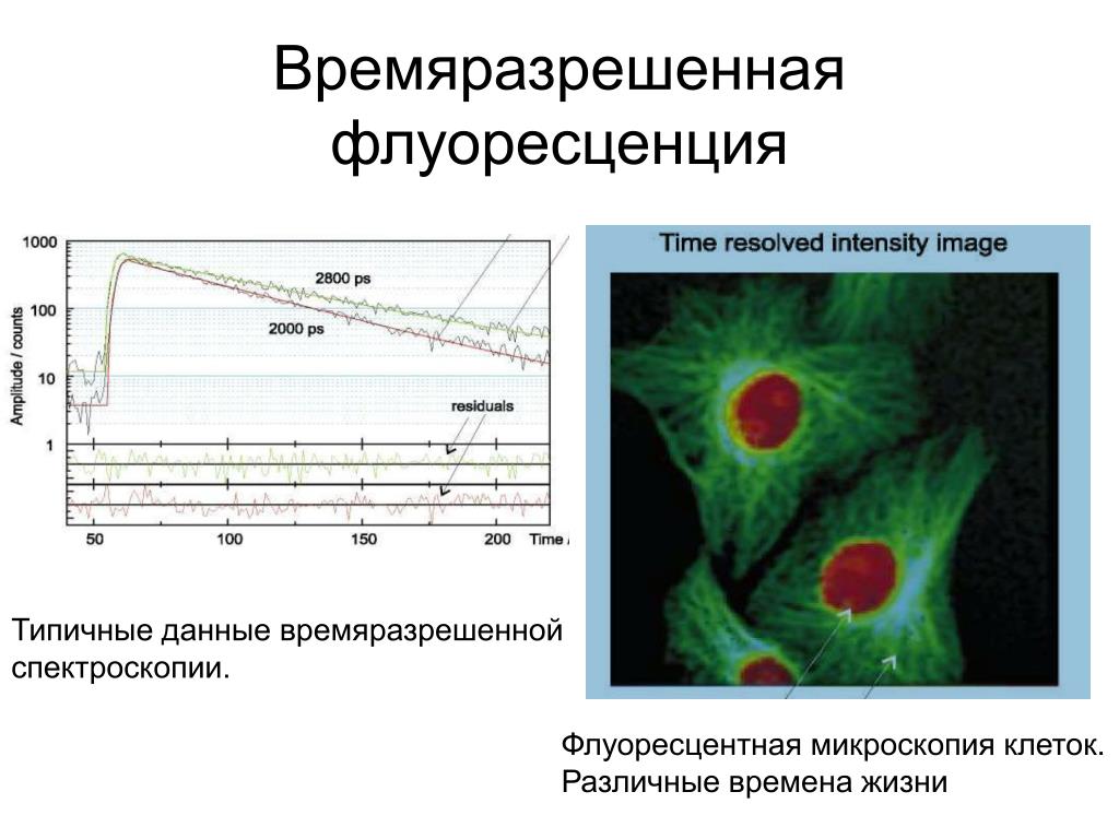 Перенос флуоресценции. Флуоресцентная спектроскопия белков. Время жизни флуоресценции. Лазерная флуоресцентная спектроскопия в стоматологии. Частота возбуждения флуоресценции наночастиц различных металлов.