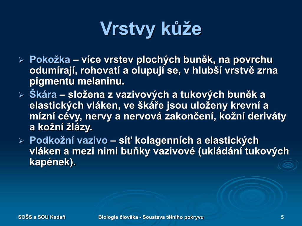 PPT - BIOLOGIE ČLOVĚKA SOUSTAVA TĚLNÍHO POKRYVU PowerPoint Presentation -  ID:4905385