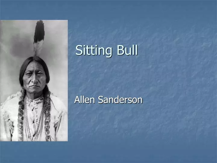 sitting bull n.