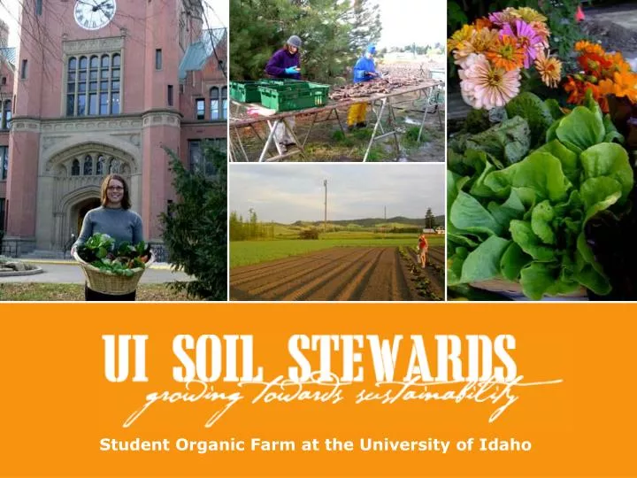 university of idaho presentation template – brettfranklin.co university of idaho presentation template – brettfranklin.co, University Of Idaho Presentation Template, Presentation templates