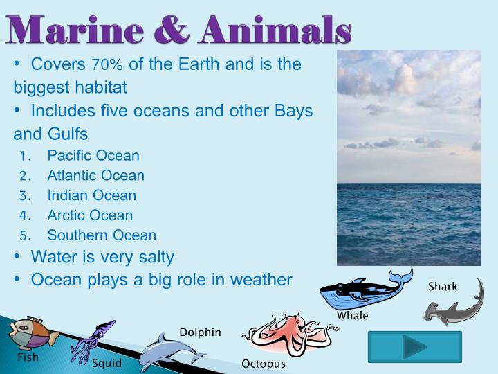 Animals and Habitats PowerPoint Presentation