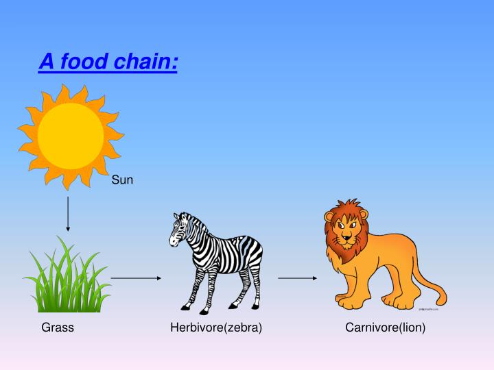 ppt-the-savannah-powerpoint-presentation-id-4912905