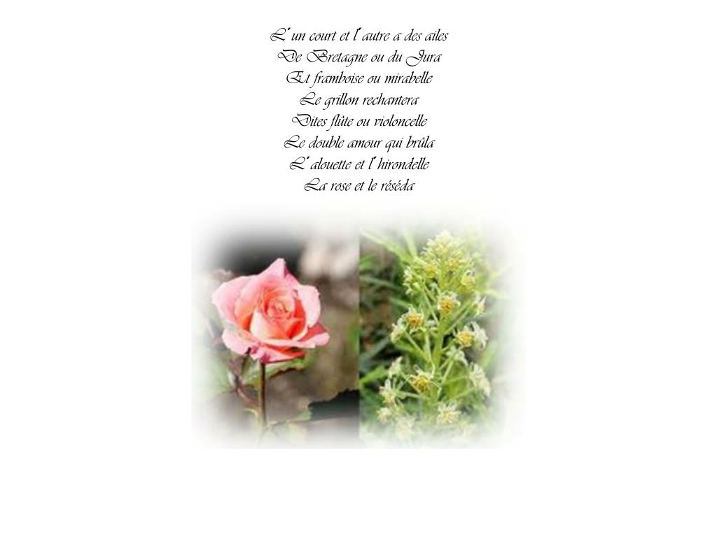 La Rose Et Le Réséda Poème
