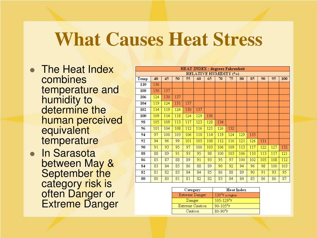 heat stress phd thesis