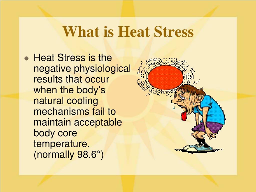 thesis about heat stress