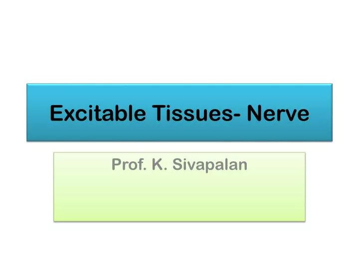 excitable tissues nerve n.