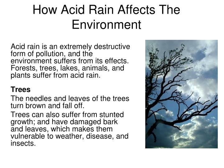 acid-rain-facts-the-effects-of-chemicals-on-the-environment