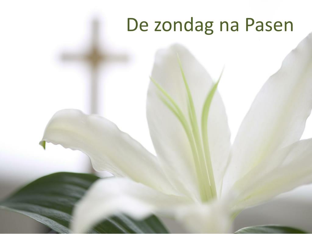 Eerste Zondag Na Pasen PPT - Hij is erbij. PowerPoint Presentation, free download - ID:4919962