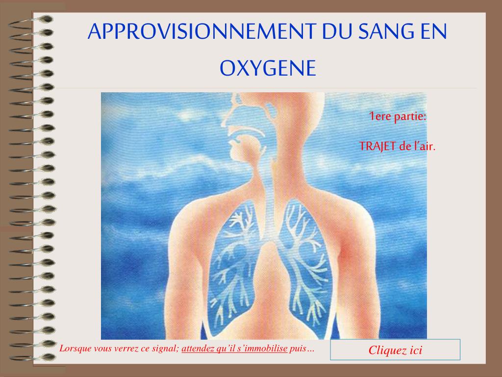Teneur en oxygène : définition et explications