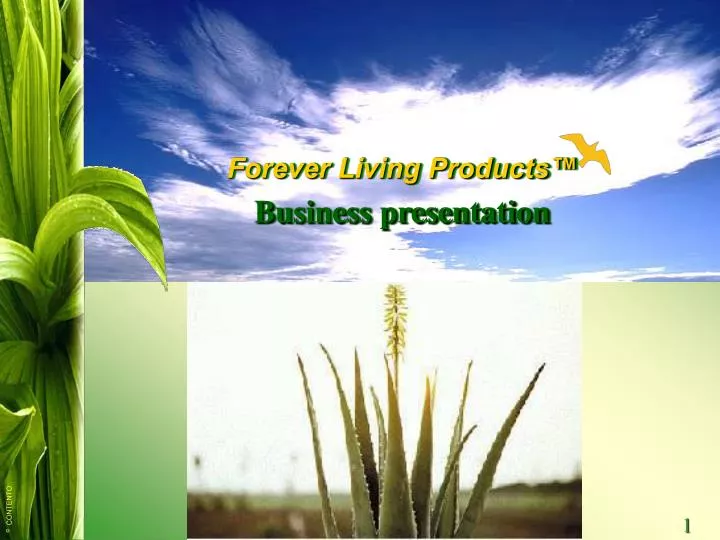 forever living products business presentation n.