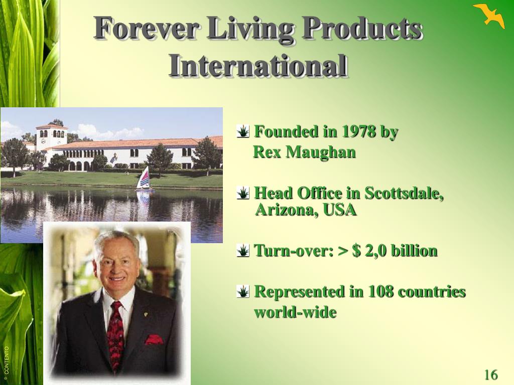 forever living products business plan ppt