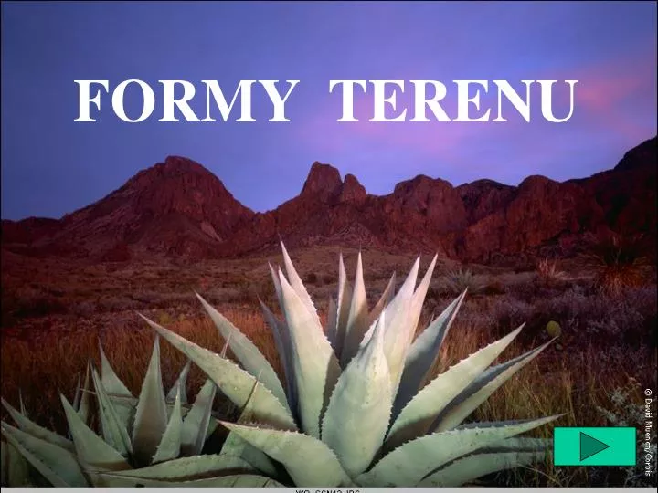 PPT FORMY TERENU PowerPoint Presentation Free Download ID 4925847