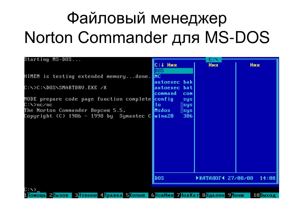 Norton commander dos. МС дос Нортон командер. Поддерживаемая файловая система MS dos. Файловый менеджер Norton Commander. Структура операционной системы MS dos.