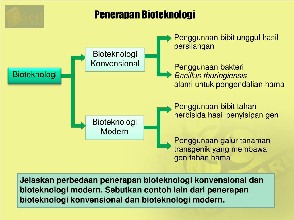 Perbedaan Antara Bioteknologi Konvensional Dan Bioteknologi Modern