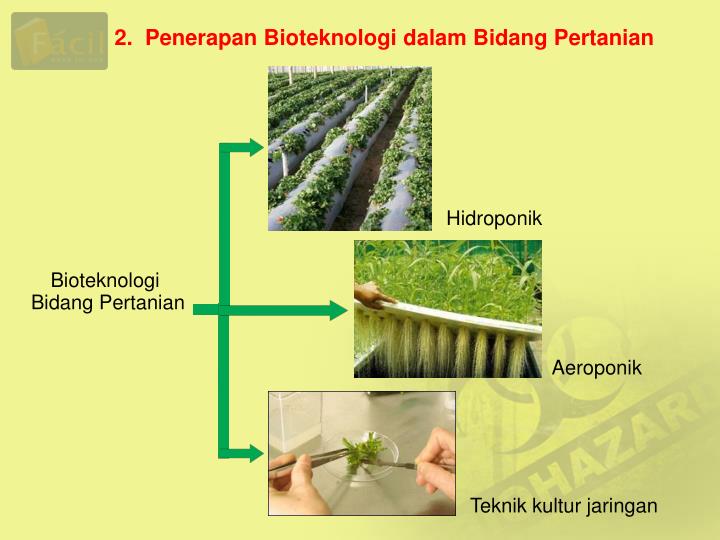 PPT - Bioteknologi PowerPoint Presentation - ID:4928613