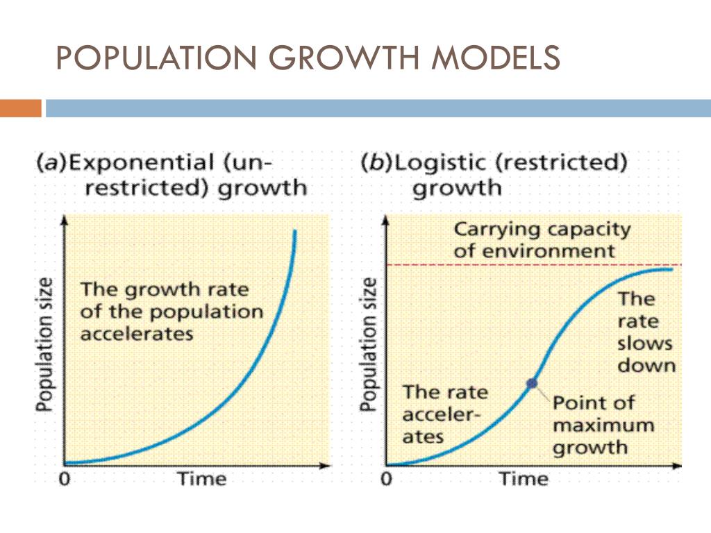 PPT ORGANISMS AND POPULATION PowerPoint Presentation Free Download 