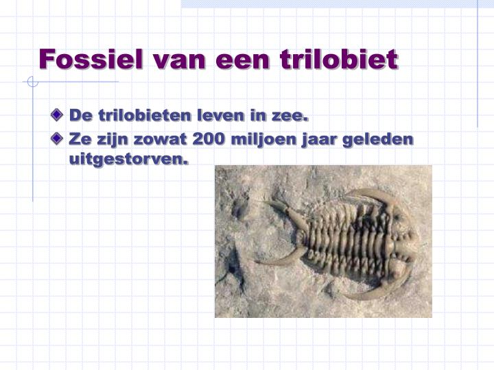 PPT - Ontstaan van leven op aarde PowerPoint Presentation - ID:4933820